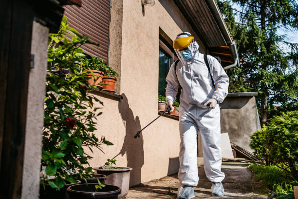 Best Spider Control Near Me  in County Center, VA