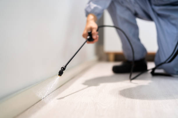 Pest Control for Restaurants in County Center, VA