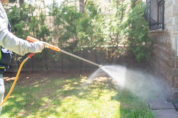 Best Pest Prevention Services  in County Center, VA